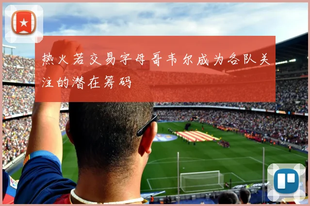热火若交易字母哥韦尔成为各队关注的潜在筹码